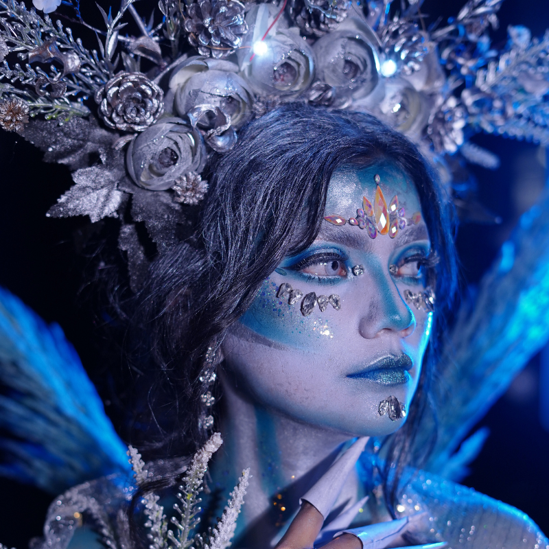 Masters in PRO Artistry Course